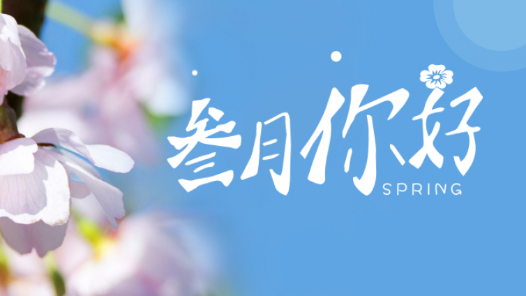 推荐 | ACCA的学霸方法曝光：这6条经验是关键！