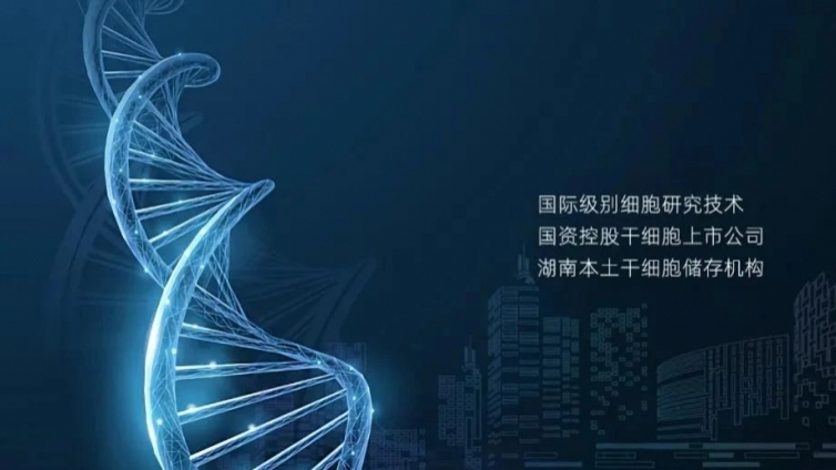 上市公司南华生物招聘财务会计和出纳，ACCA绿色通道开启